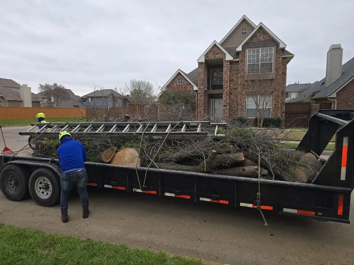 Expert Lot Clearing with proper safety equipment in Richards